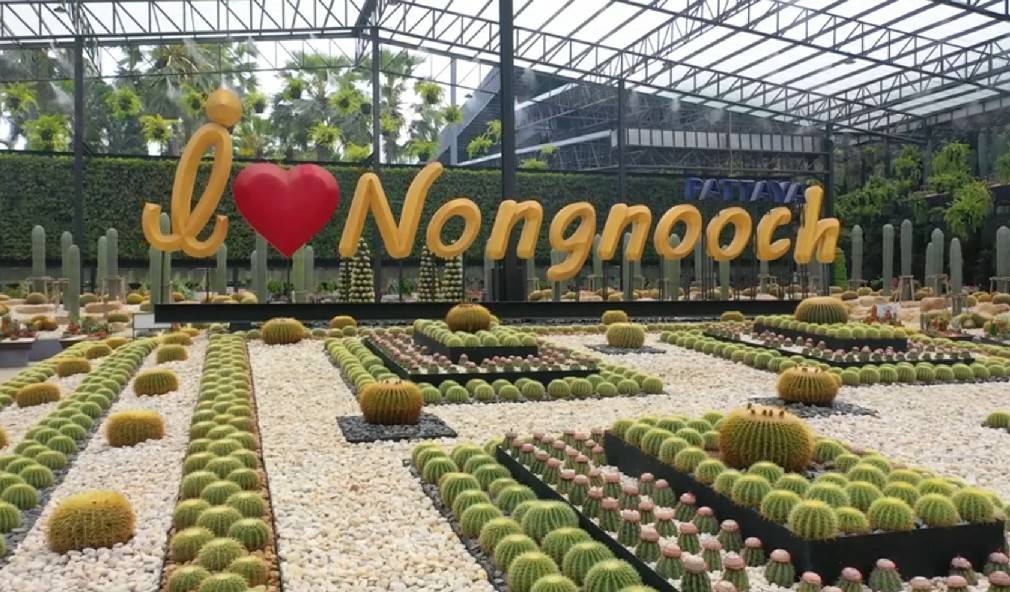 ฉีดวัคซีนครบ 2 เข็ม เข้าชมสวนนงนุชพัทยา ฟรี สนับสนุนไทยเที่ยวไทย 