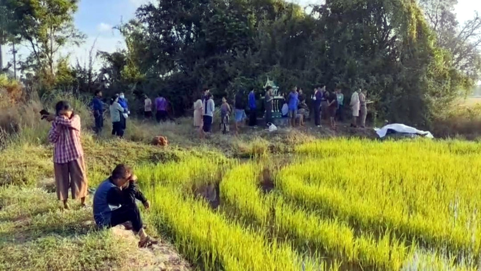 ปู่ย่าช็อก! ผัดกะเพรารอหลาน 17 ปี ออกดักหนู–ปลาไหล ก่อนพบเป็นศพจมน้ำกลางทุ่งนา