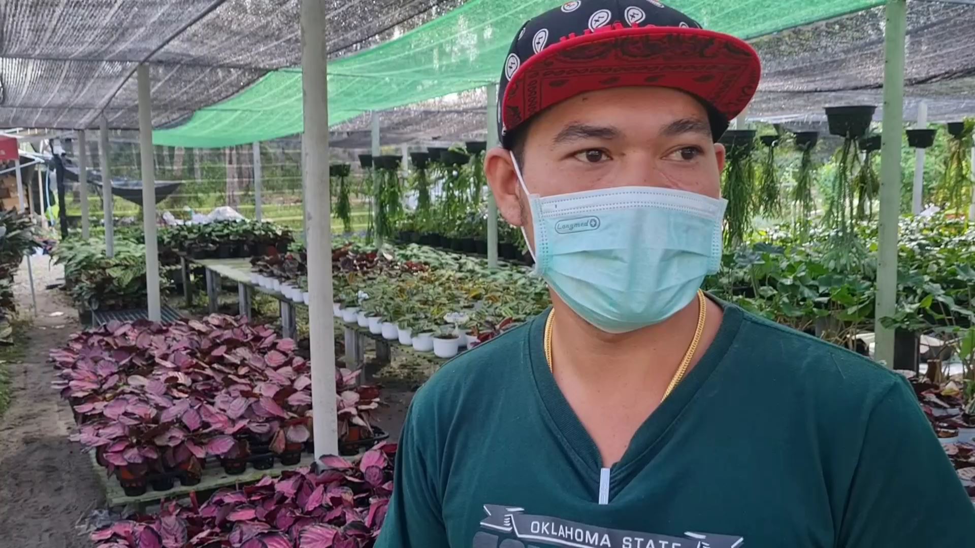 ร้านต้นไม้ถูกลักบอนสีสูญเงินนับแสน  วงจรปิดเห็นชัดแต่ยังทำอะไรไม่ได้