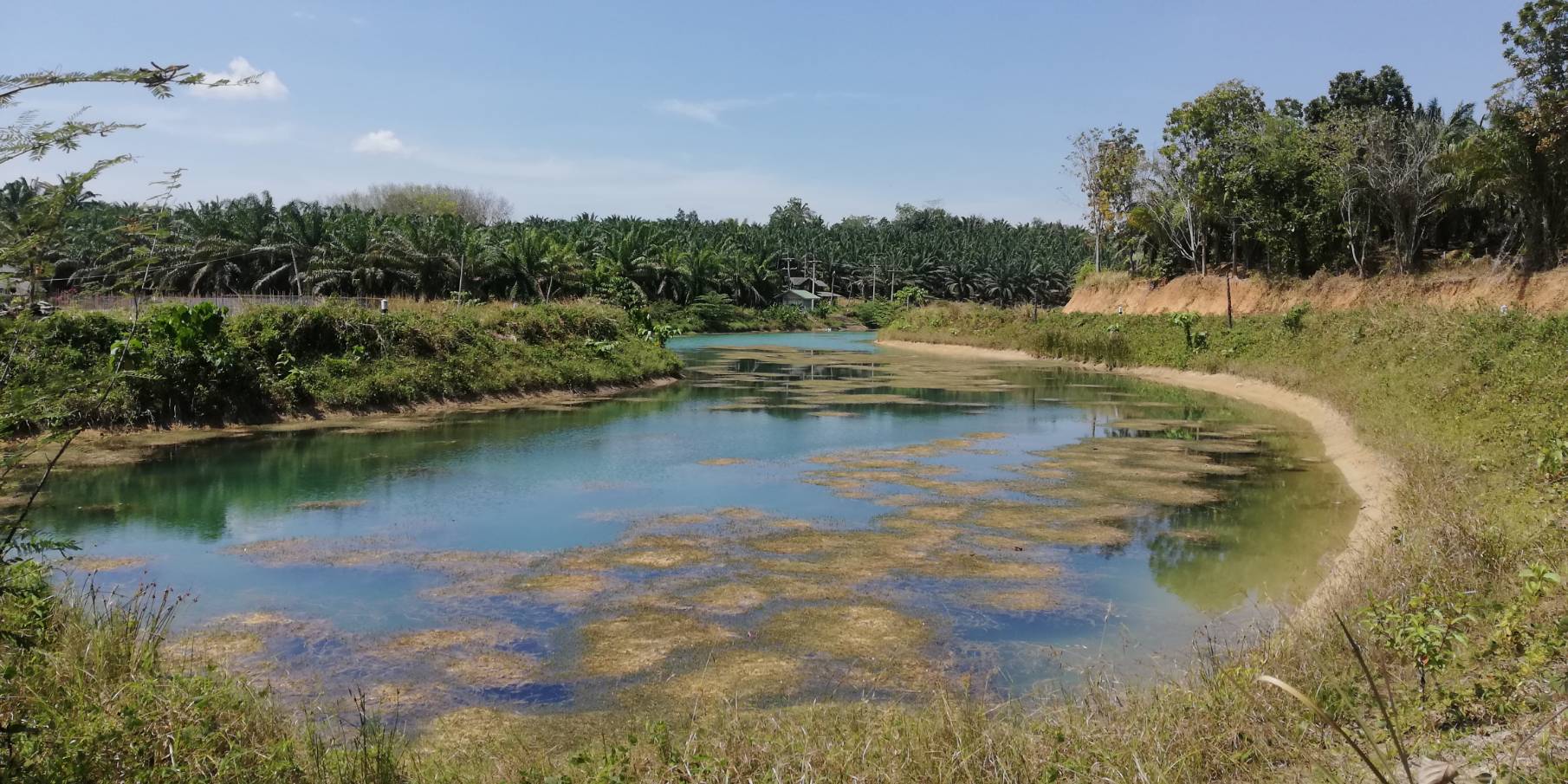 เกษตรกรกระบี่ ห่วงขาดน้ำอุปโภคบริโภค สืบเนื่องจากโครงการพัฒนาแหล่งน้ำเพื่อการอนุรักษ์ดินและน้ำ ถูกโยก หวั่นภัยแล้งกระทบ