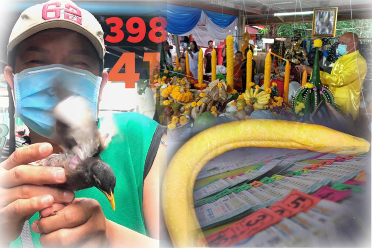 รวมเลขเด็ด! หวยไอ้ไข่ ปลาไหลสีทอง  มนต์สิทธิ์