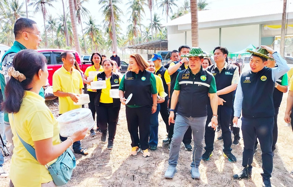 “ธรรมนัส” สั่งเร่งจัดซื้อสารเคมี สกัดการระบาดแมลงศัตรูมะพร้าว 