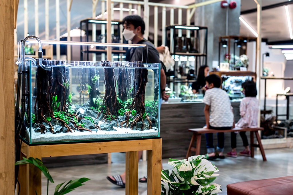 เตรียมพบกับงานไม้น้ำ จากศิลปินนักจัดตู้ไม้น้ำชาวไทยฝีมือระดับโลก “Thailand Aquascaping Art Fair 2024”