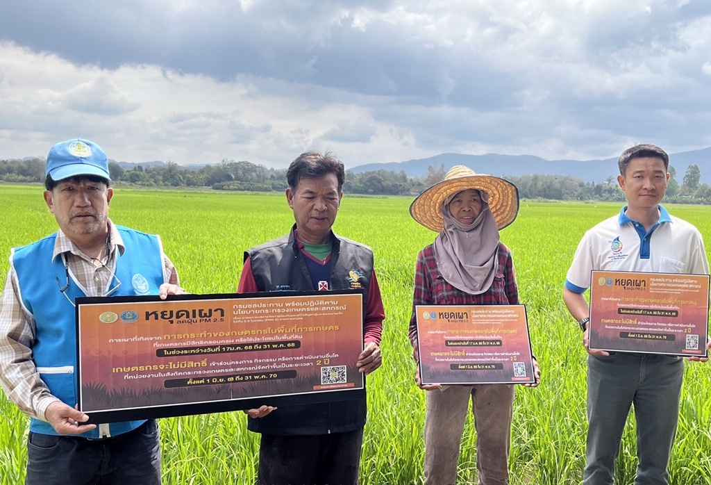 คบ.แม่แฝก-แม่งัดสมบูรณ์ชล รุกรณรงค์งดเผาเศษวัสดุทางการเกษตรหลังเก็บเกี่ยว พื้นที่แม่แฝกและแม่งัด
