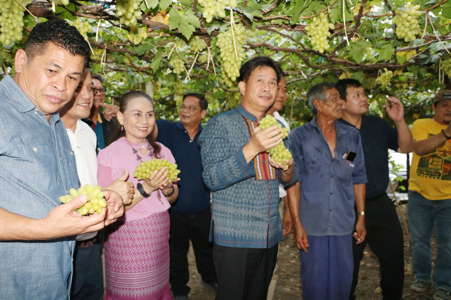 ผู้ว่าฯราชบุรี พาชิมองุ่นหวานต้อนรับกีฬาเยาวชนแห่งชาติ