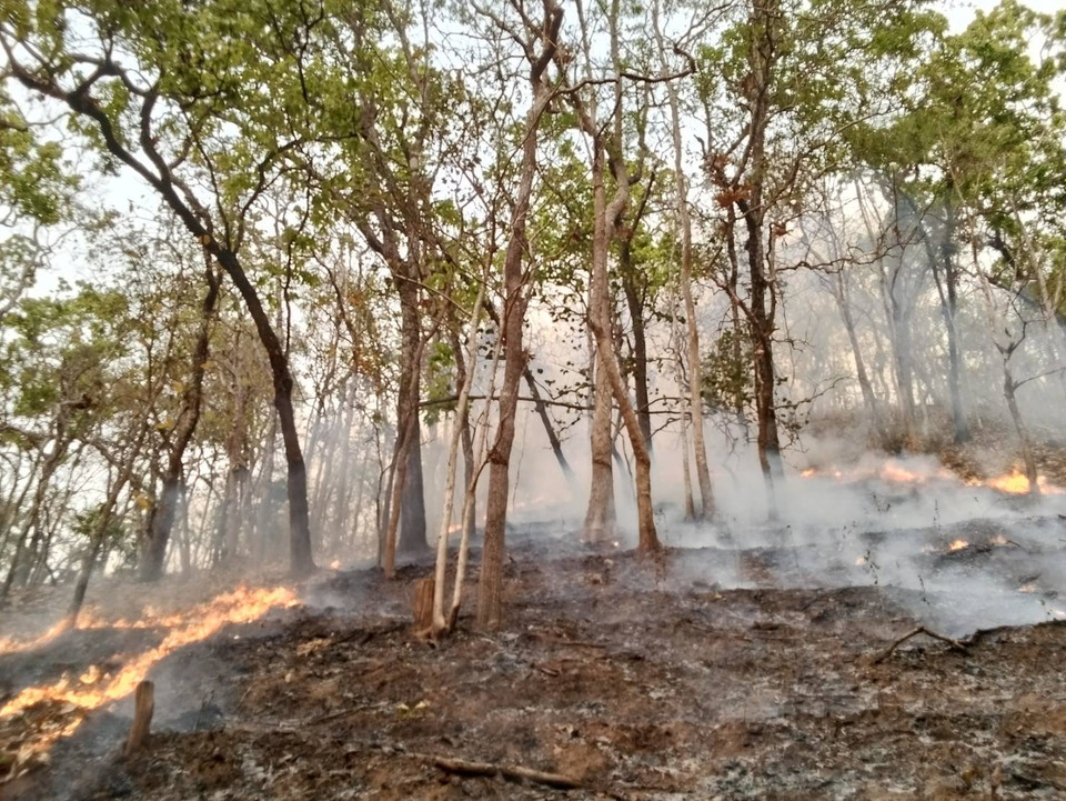 แม่ฮ่องสอนไฟลุก! เสริมกำลัง “เหยี่ยวไฟ” สกัดป่าไหม้รอบเมือง PM2.5 พุ่งเกินมาตรฐาน 