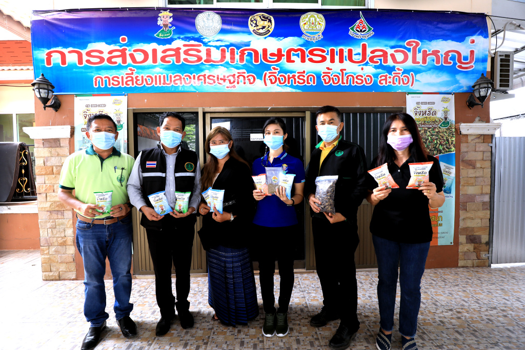 ยกระดับแปลงใหญ่จิ้งหรีด เสริมแกร่งด้วยเกษตรสมัยใหม่ พุ่งเป้าเจาะตลาดนอก
