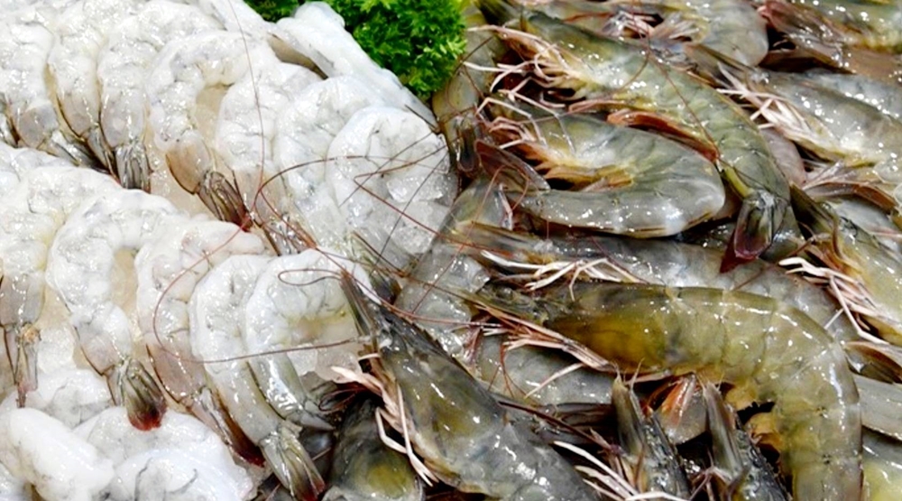 กุ้งไทยมาตรฐานโลก แล้วจะนำเข้ากุ้งเอกวาดอร์-อินเดีย มาสวมแบรนด์ไทยเพื่ออะไร 