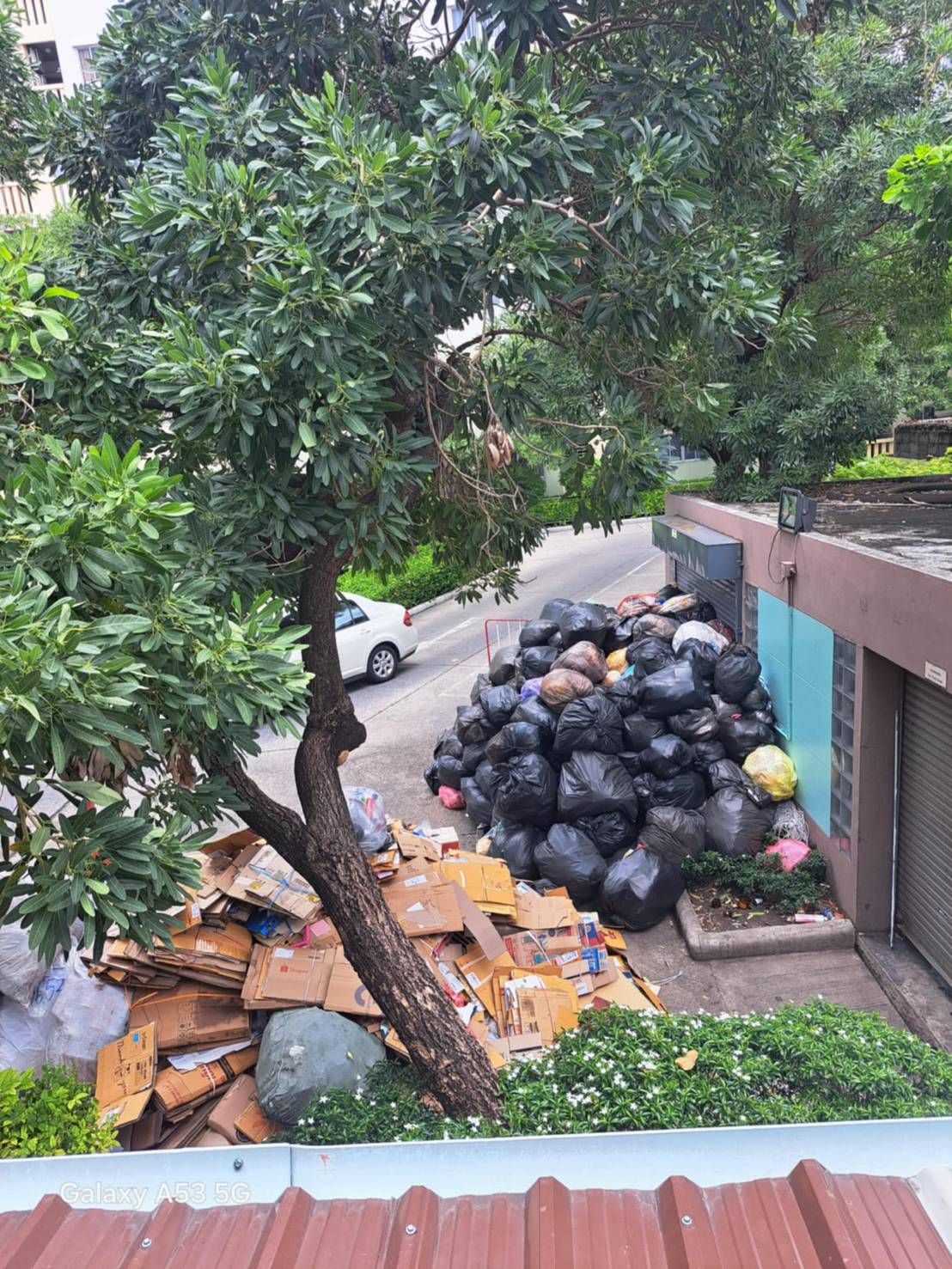 สุดทนร้องสื่อขยะกองโตของคอนโดส่งกลิ่นเหม็น เปิดบ้านไม่ได้ แจ้งเทศบาล 2 ปี ไม่ดำเนินการให้