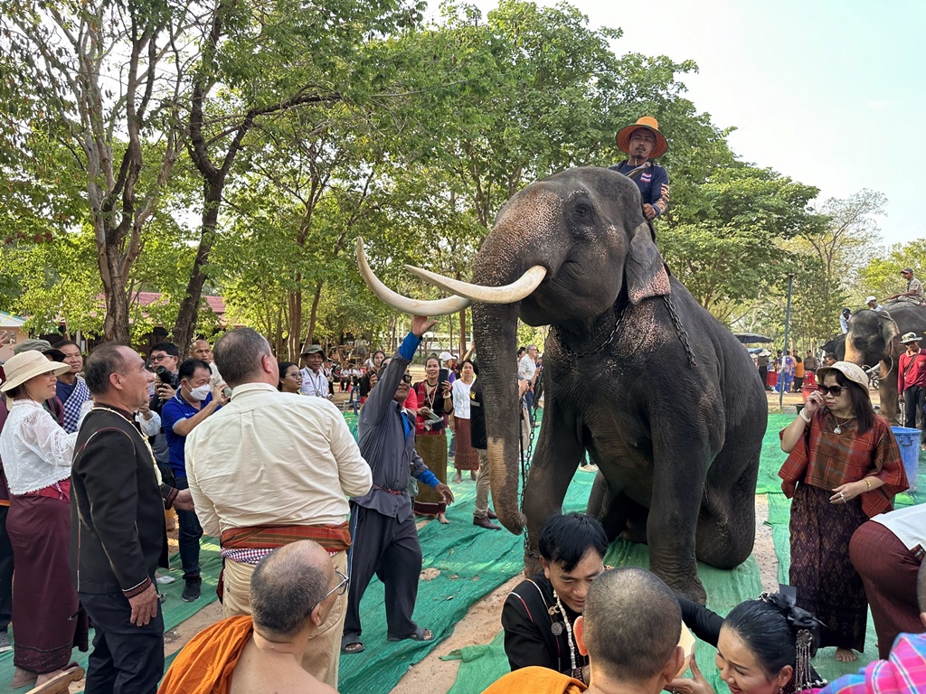 สุรินทร์จัดงาน "เทศกาลสงกรานต์ช้างโลก" นักแสดงต่างชาติร่วมแสดงศิลปวัฒนธรรม เล่นน้ำกับช้าง 