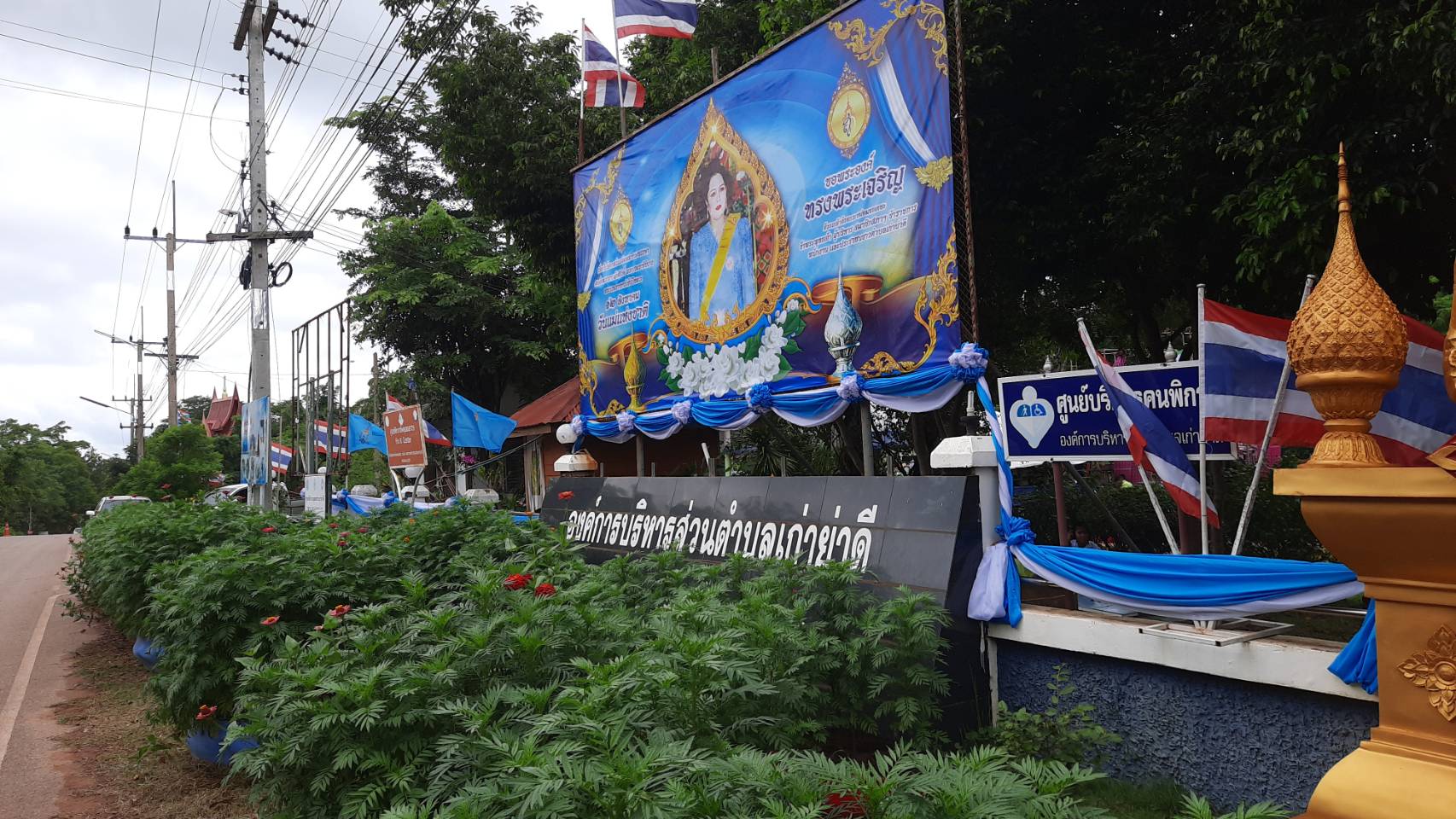 สนง.เกษตรชัยภูมิจัดงานวันถ่ายทอดเทคโนโลยีการผลิตและส่งเสริมการเพิ่มประสิทธิภาพการผลิตสับปะรด
