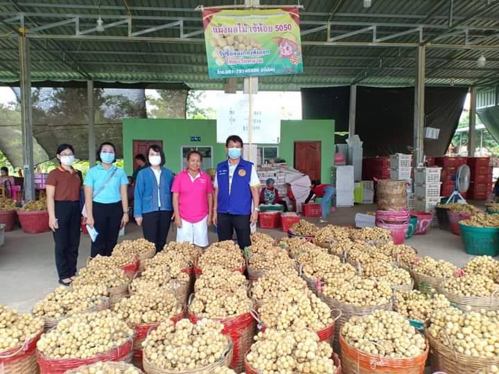 นายอำเภอลับแลติดตามสถานการณ์รับซื้อผลไม้ลองกอง-ลางสาด