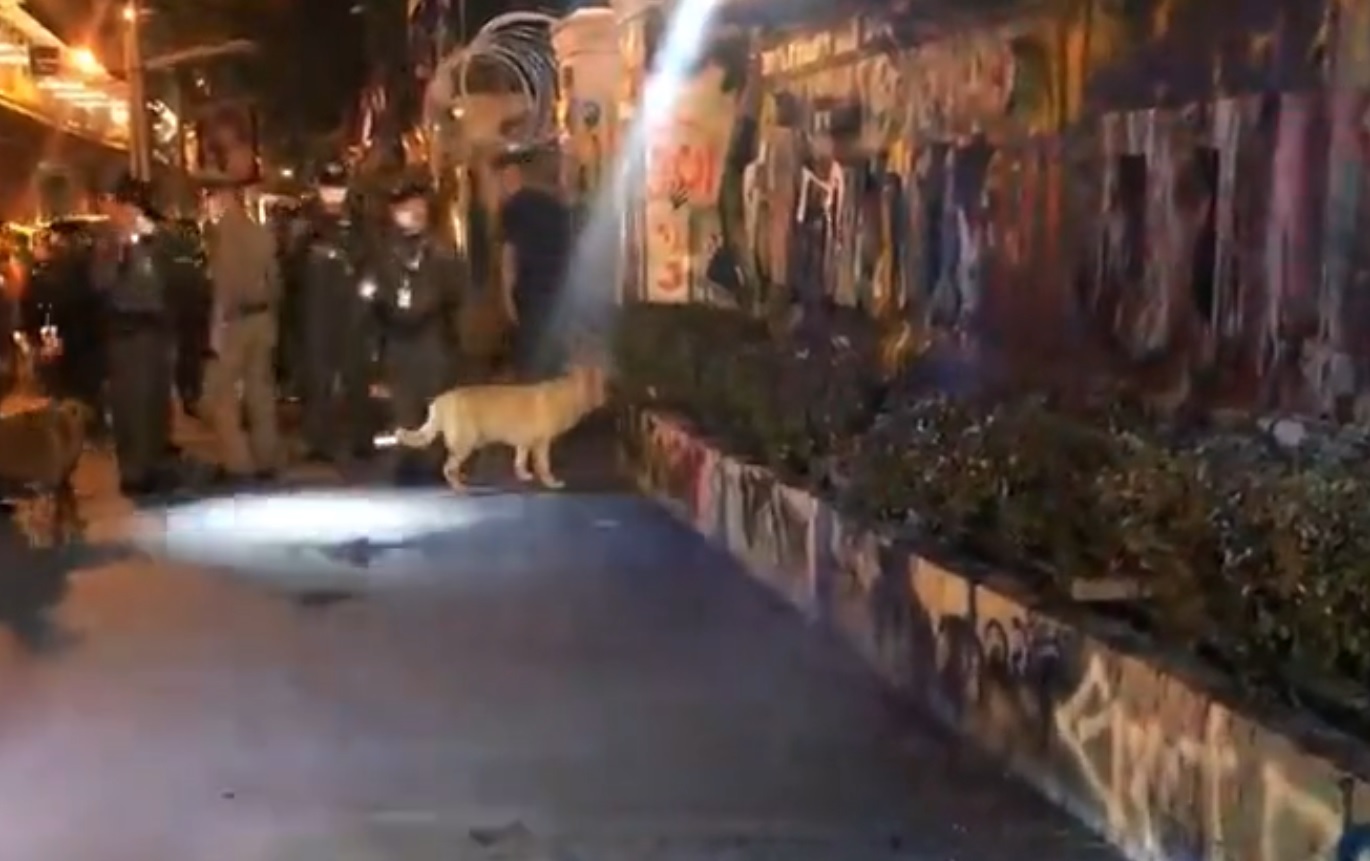 สพฐ.ก และ อีโอดีนำ K9 เคลียร์หน้าสนง.ตร.พร้อมเร่งทำความสะอาดก่อนประเมินค่าความเสียหาย