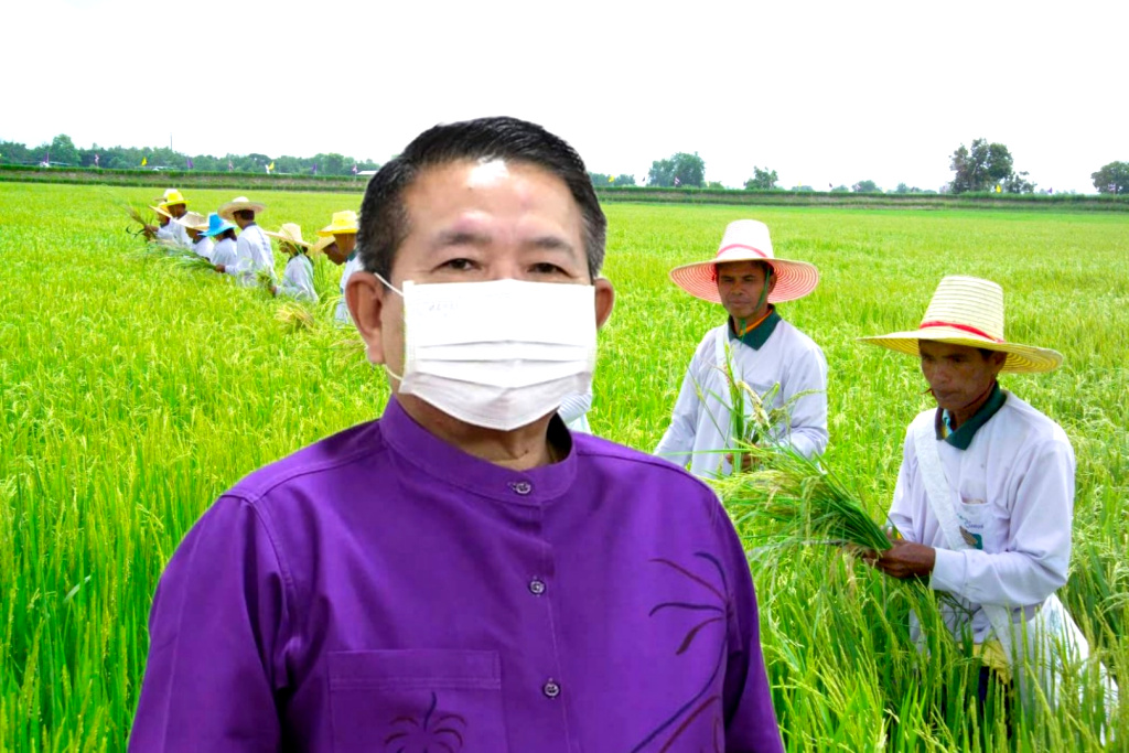 กรมข้าว ไม่หวั่นโควิด สั่งลุยยกระดับแปลงใหญ่ด้วยเกษตรสมัยใหม่ 