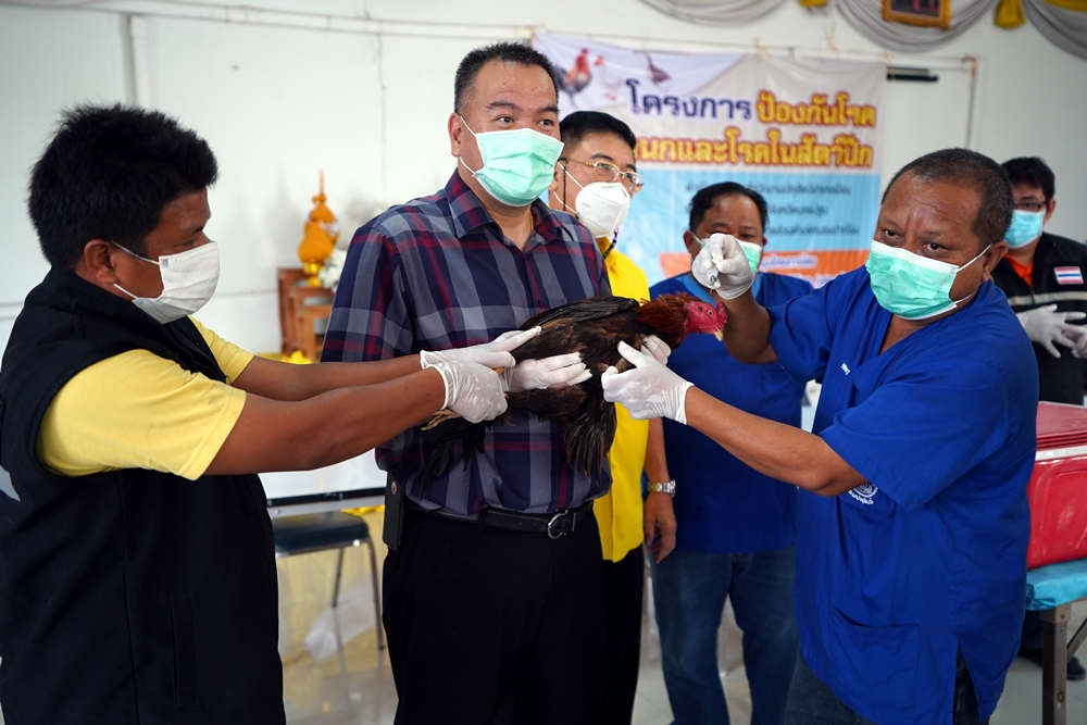 "เสธ.แก้ว" ประสานปศุสัตว์นครปฐม เร่งป้องกันโรคโรคระบาดในสัตว์ปีก เน้น ปชช.ปลอดภัย