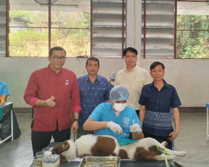ปศุสัตว์แม่ฮ่องสอน ร่วมออกบริการตรวจสุขภาพสัตว์ ผ่าตัดทำหมัน พื้นที่เทศบาลเมืองแม่ฮ่องสอน