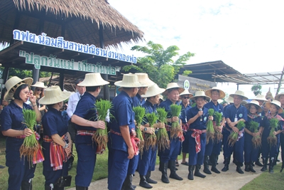 รายงาน : กฟผ. สืบสานพระราชปณิธานในหลวงร. 9 จัดกิจกรรม “ปลูกวันแม่ เกี่ยววันพ่อ”