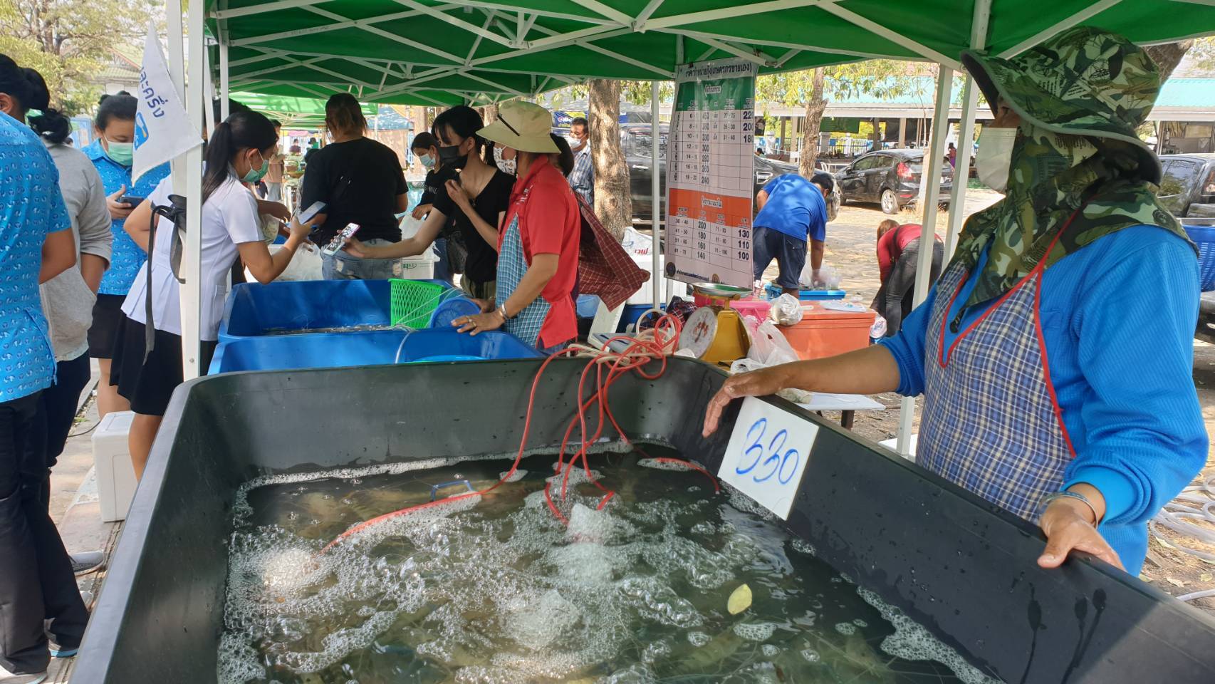 จังหวัดลพบุรีเปิดตลาดกลาง "กุ้งก้ามกราม" ช่วยเกษตรกรผู้เลี้ยงกุ้งสุพรรณบุรี-อยุธยา