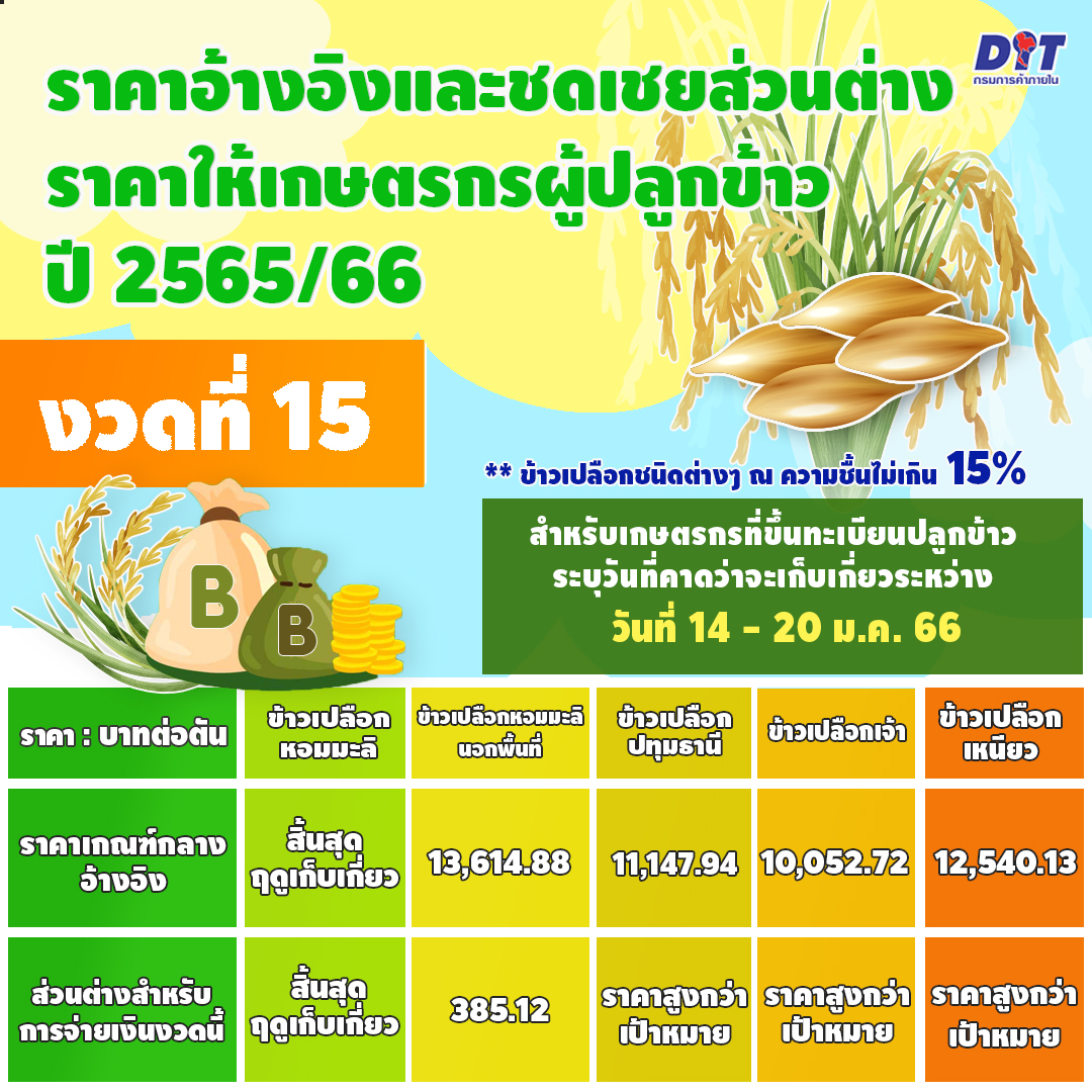 เกษตรกรเฮ!พาณิชย์เคาะประกันรายได้ข้าว งวดที่ 15 ราคาพุ่งเกินราคาประกัน 