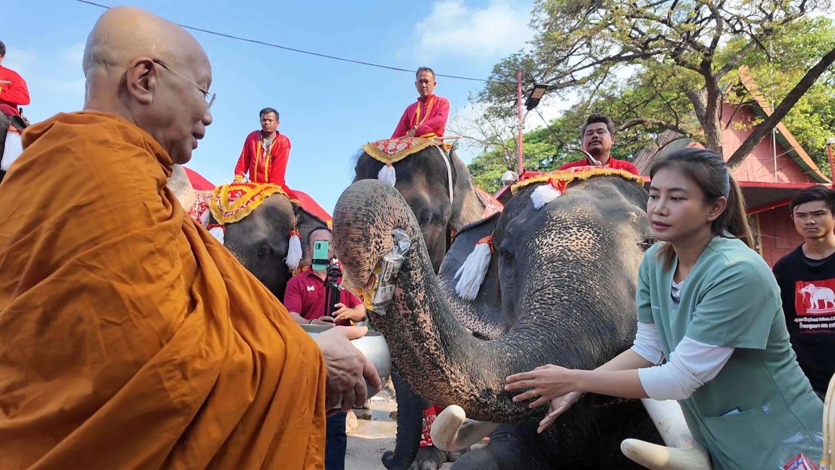 วังช้างอยุธยา แล เพนียด จัดทำทำบุญใหญ่ “วันช้างไทย” พร้อมเลี้ยงโต๊ะจีนช้าง กว่า 70 เชือก