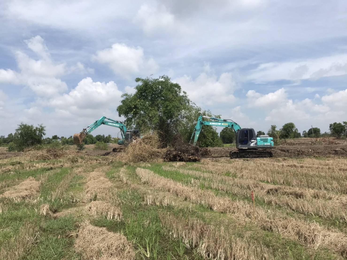 เกษตรและสหกรณ์อยุธยา น้อมนำหลักปรัชญาศก.พอเพียง เดินหน้า 1 ตำบล 1 กลุ่มเกษตรทฤษฎีใหม่ช่วยผู้ได้รับผลกระทบโควิด 