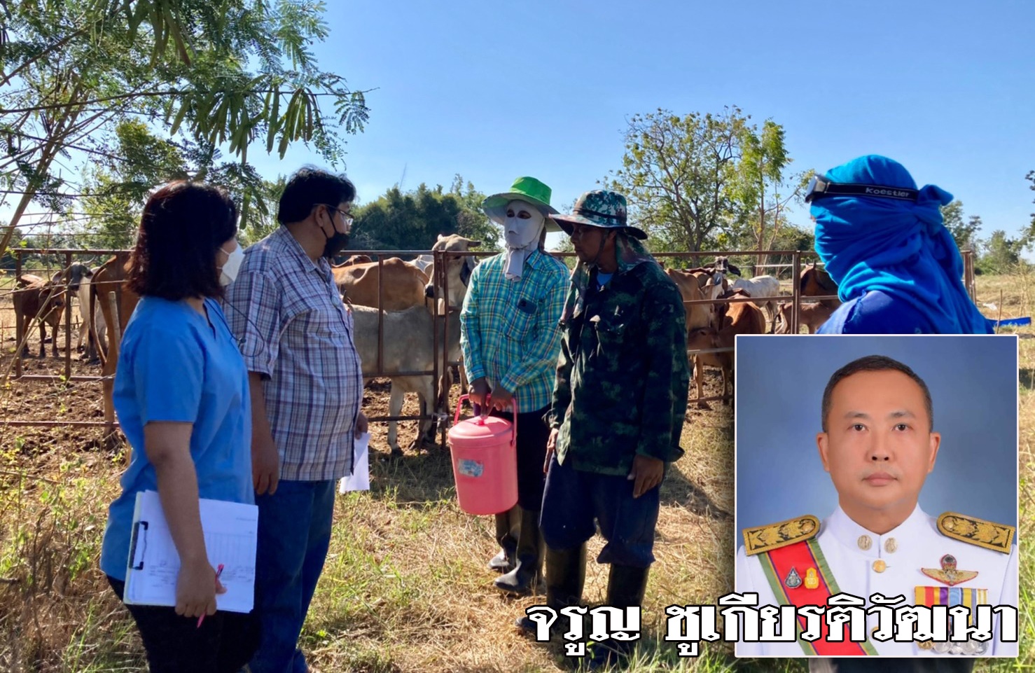 ปศุสัตว์ลพบุรี ฉีดวัคซีนป้องกันโรคคอบวมในกระบือ - โคนม ให้กับเกษตรกร 