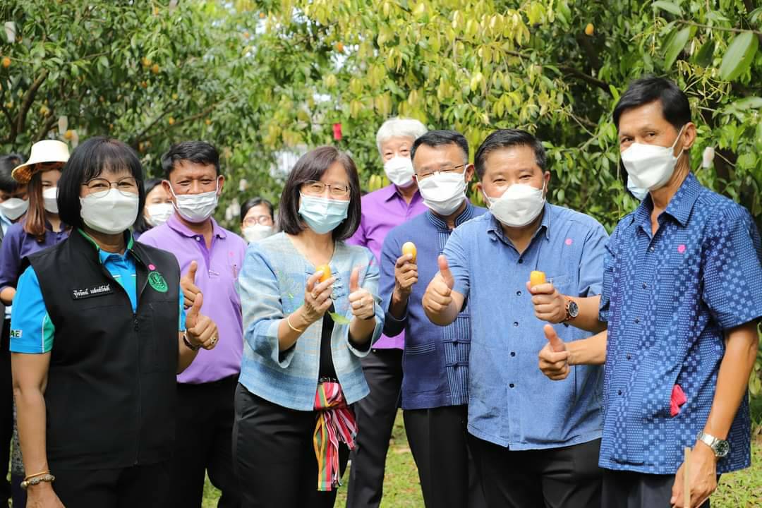 เกษตรโชว์ผลสัมฤทธิ์การดำเนินงานแปลงใหญ่มะยงชิด จ.นครนายก 