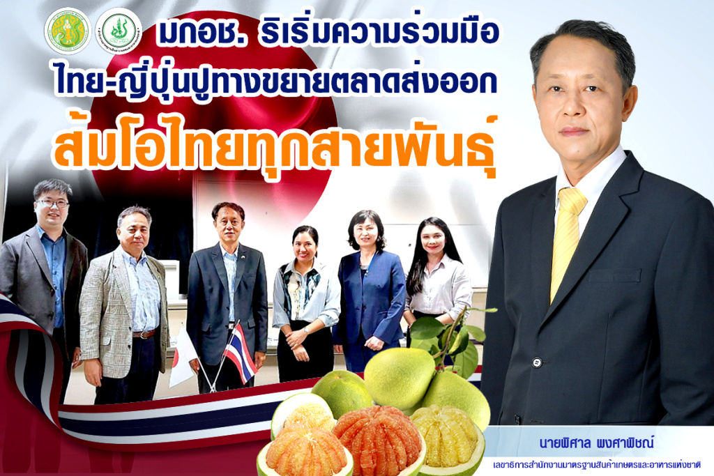 ไทย-ญี่ปุ่น รุกขยายตลาดส่งออกส้มโอไทยทุกสายพันธุ์ 