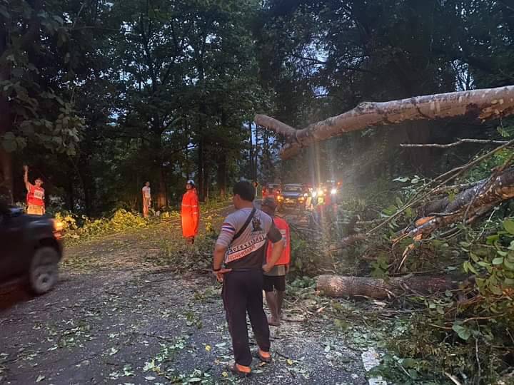 นอภ.สบเมย สั่ง อส.ที่ 7 เคลียร์เปิดเส้นทางถนนสาย 105 หลังฝนตกหนักต้นไม้ใหญ่ล้มขวางถนน