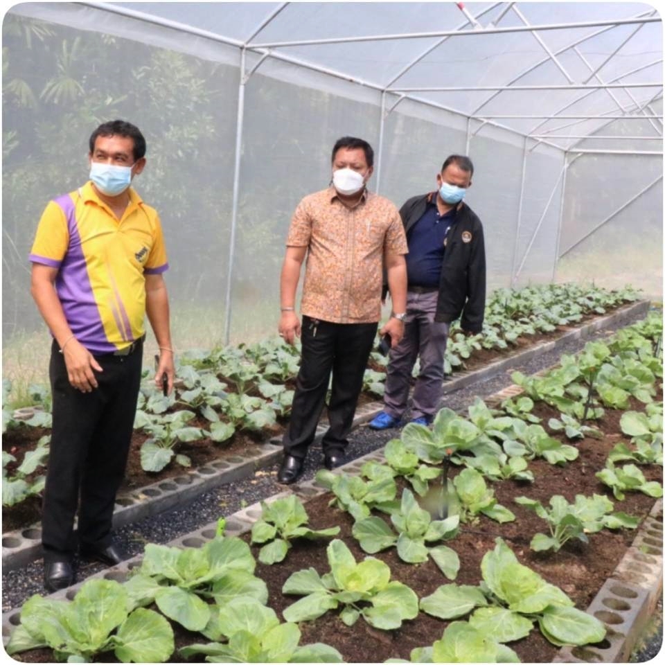 สหกรณ์สงขลา ตรวจเยี่ยมแปลงเรียนรู้เกษตรอัจฉริยะของสหกรณ์การเกษตรควนเนียง 