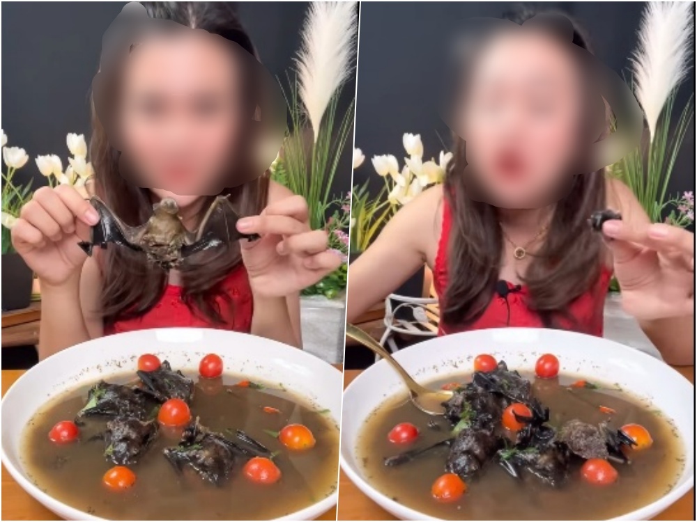 งานงอก! ทัวร์ลงคลิปโชว์กิน "ค้างคาว" หวั่นเป็นโรคระบาด