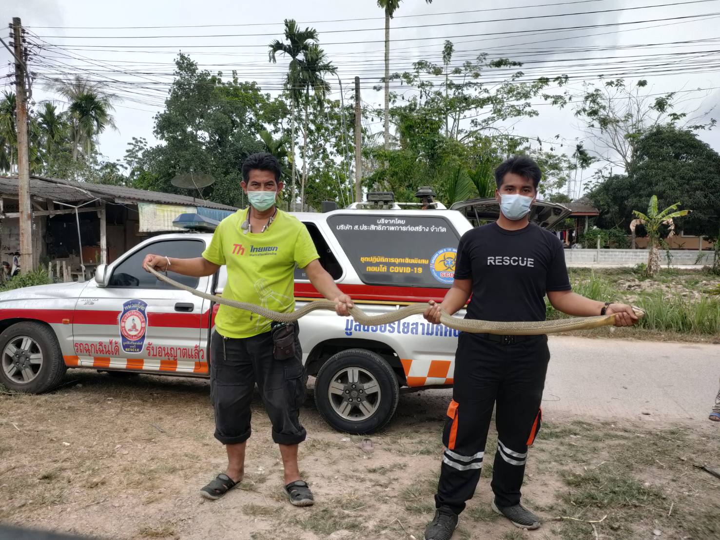 สาวใหญ่รอดตายหวุดหวิด หลังเหยียบงูจงอางในบ้าน 