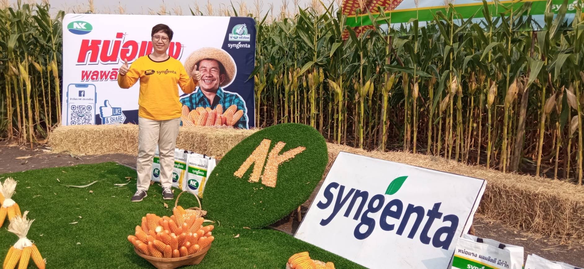 “ซินเจนทา” จัด Corn Expo โชว์นวัตกรรมข้าวโพดสายพันธุ์ใหม่สู้ภัยแล้ง 