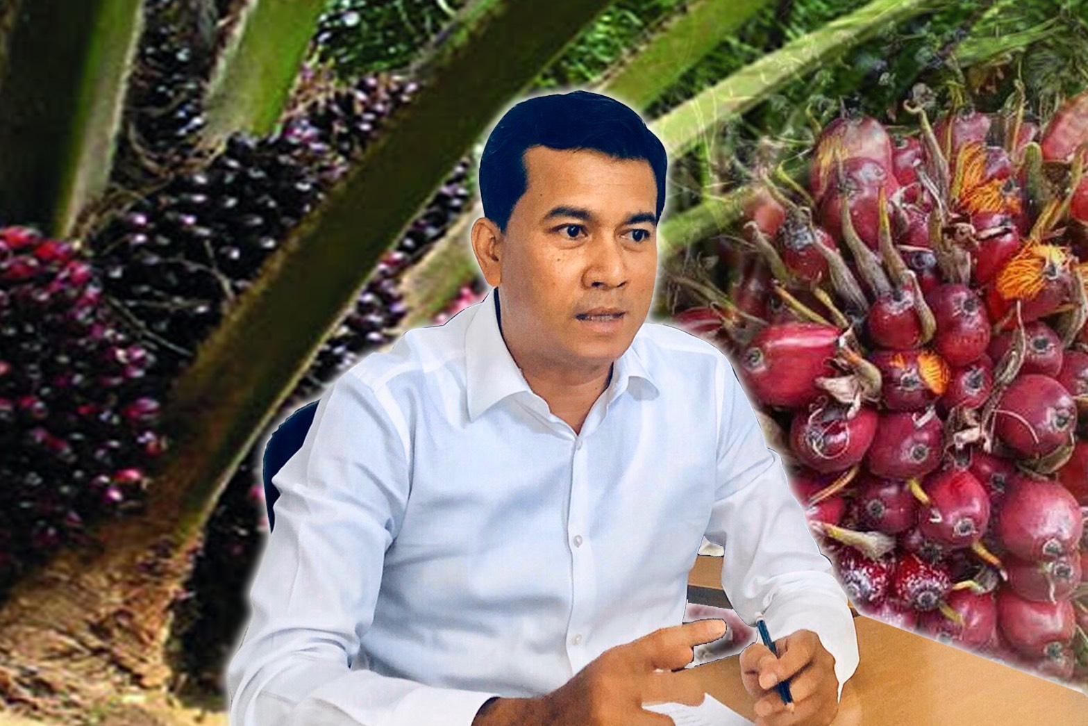 "เด็กปชป."เตือนรัฐรับมือม็อบปาล์มเคลื่อน ทวงถาม"สนธิรัตน์"รับปากซื้อน้ำมันปาล์มดิบเพิ่ม 3.75 หมื่นตันไม่คืบ 