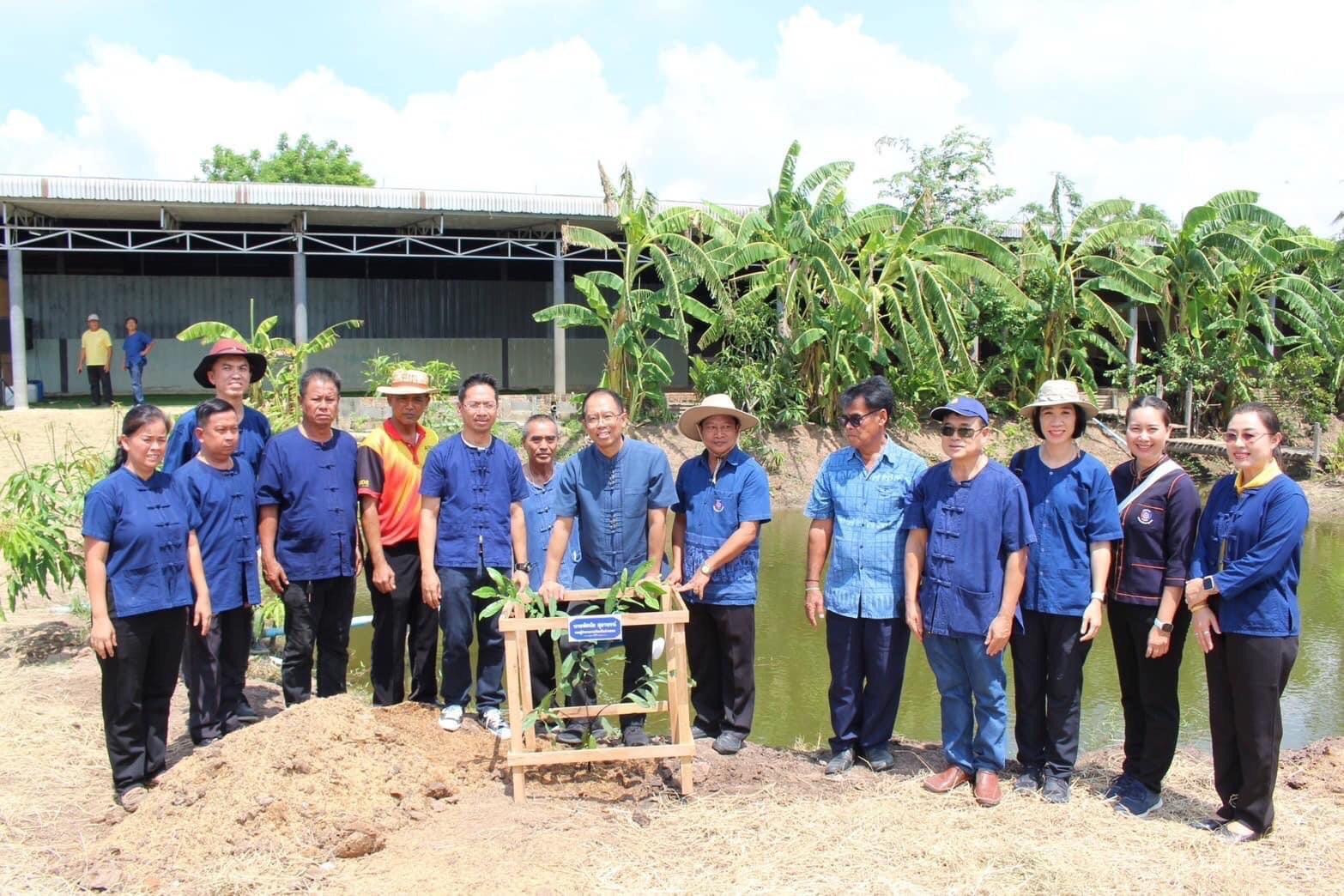 อ่างทอง จัดกิจกรรมงานวันต้นไม้แห่งชาติ สืบสานวิถีชาวนาไทย เอามื้อสามัคคี "ลงแขกเกี่ยวข้าว"