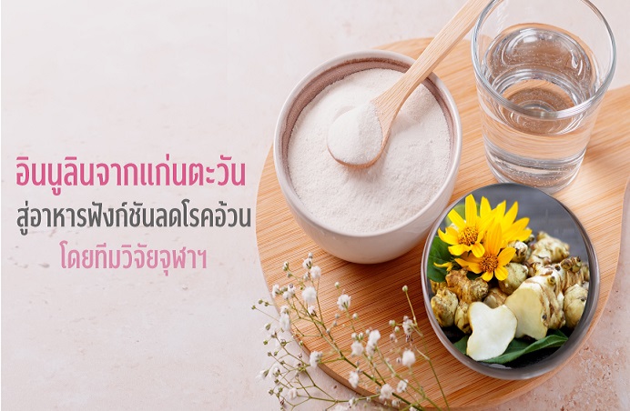 อินนูลินจาก "แก่นตะวัน"        สู่อาหารฟังก์ชันลดโรคอ้วน โดยทีมวิจัยจุฬาฯ 