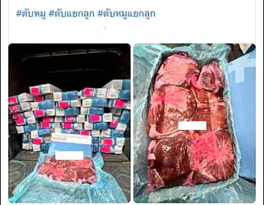 กรมศุลกากร ปล่อย “หมูเถื่อน” ลอบขายบนเขียงหมู ใช้กลเม็ดนำเข้าสำแดงเท็จเป็นอาหารทะเล 