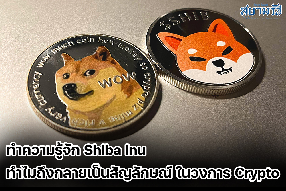ทำความรู้จัก Shiba Inu ทำไมถึงกลายเป็นสัญลักษณ์ ในวงการ Crypto