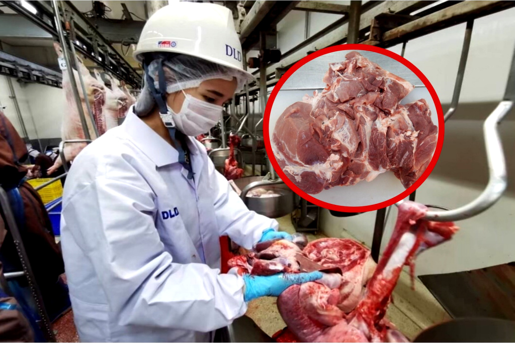 ปศุสัตว์ ย้ำ "ฝีหนองในเนื้อหมู" ไม่ใช่โรคติดต่อสู่คน!!