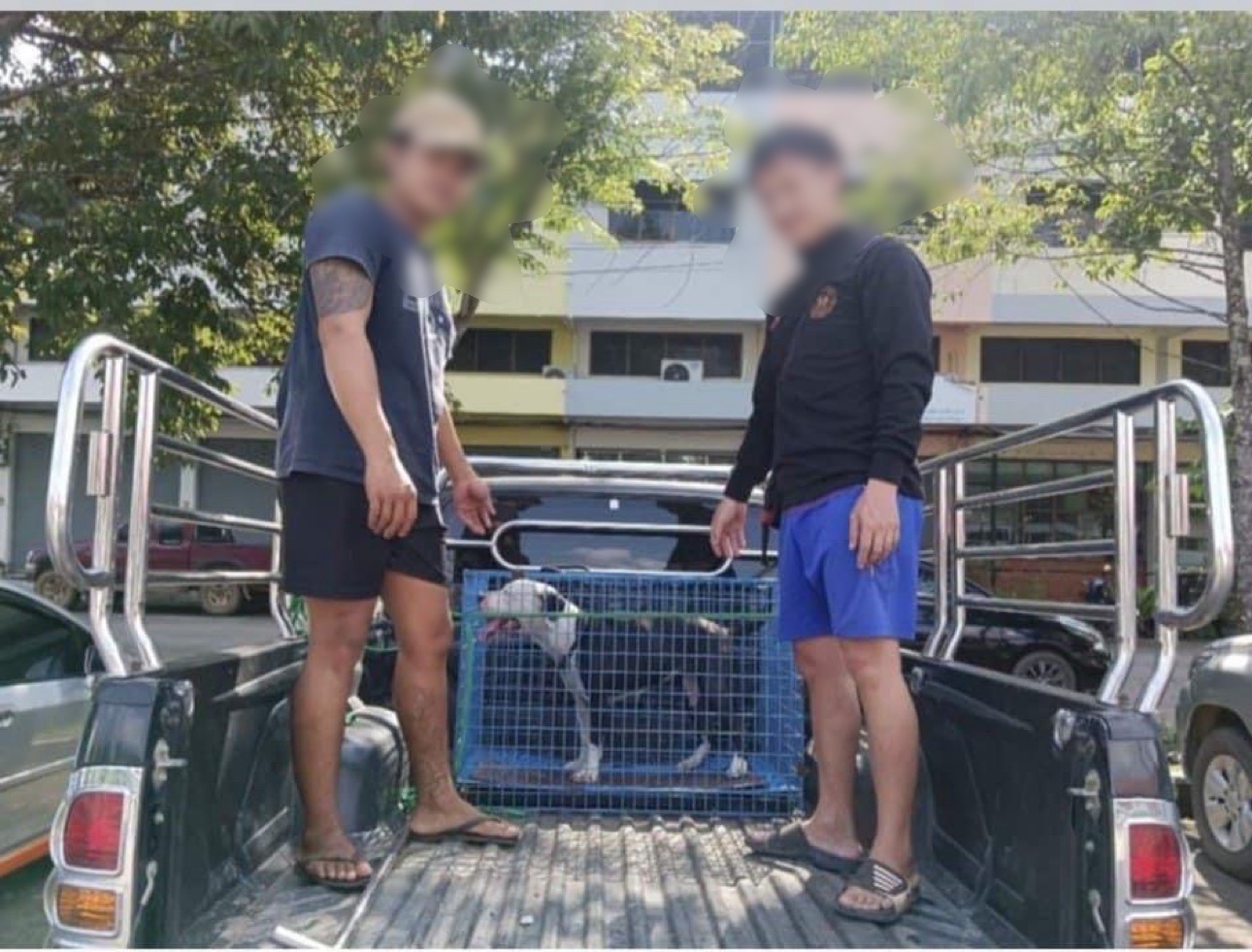  ตำรวจแม่จันตามจับหนุ่มอาข่า คดีฆ่าน้องหมา อ้างกลัวกัดเด็ก
