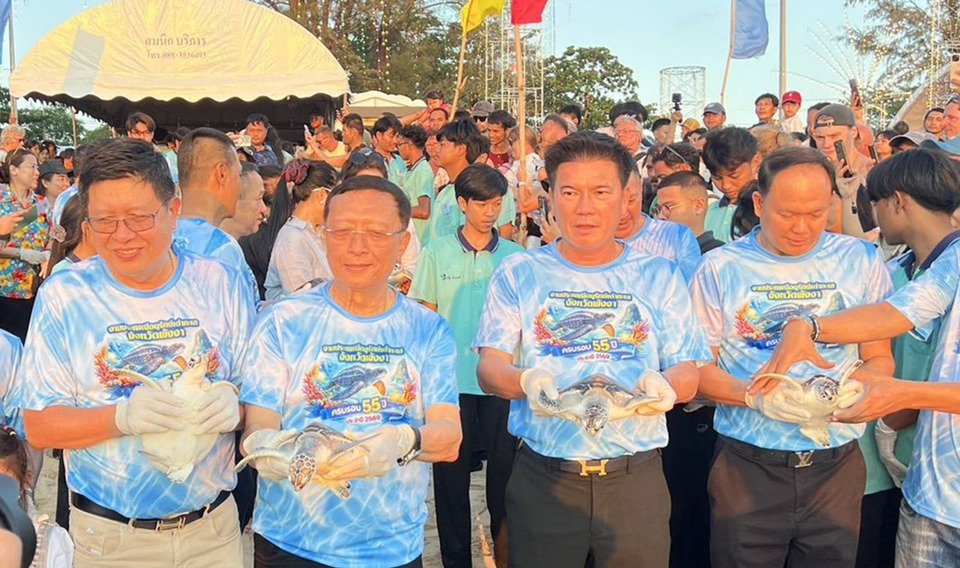 พังงาเปิดงานประเพณีอนุรักษ์เต่าทะเล ปีที่ 55 ชูท้ายเหมืองเมืองหลวงเต่ามะเฟือง