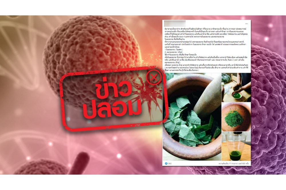 น้ำต้มใบและดอกมะละกอ ช่วยรักษามะเร็งจริงหรือ?