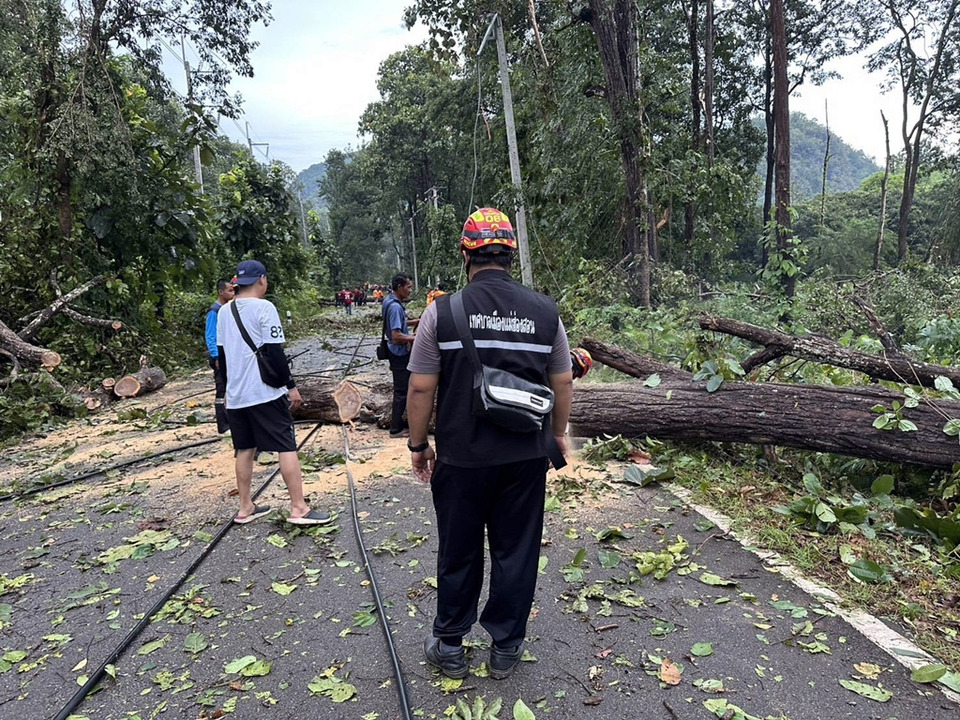 แม่ฮ่องสอนอ่วม! พายุฝนถล่มทำไฟดับทั่วเมือง–ต้นไม้ล้มขวางถนน แม่สะเรียงเจอน้ำหลากซ้ำ