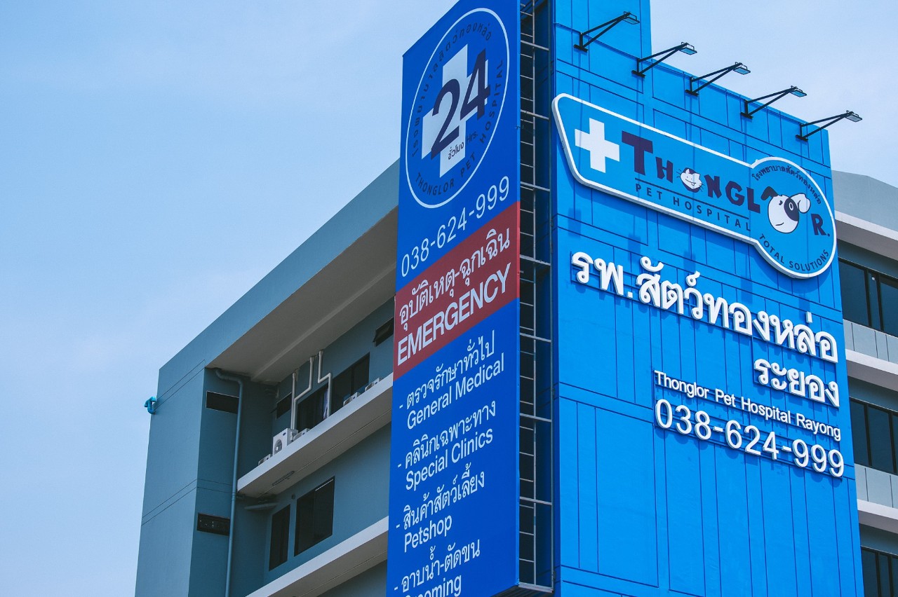 รพส.ทองหล่อ เปิดสาขาใหม่ จ.ระยอง พร้อมบริการ 24 ชม.บริการตอบโจทย์คนรักสัตว์ในพื้นที่