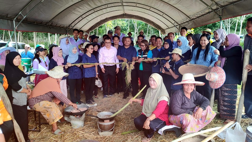 เยาวชนสตูล ร่วมสืบสานวิถีชาวนาพื้นบ้าน เรียนรู้ตั้งแต่เก็บเกี่ยวถึงการแปรรูป