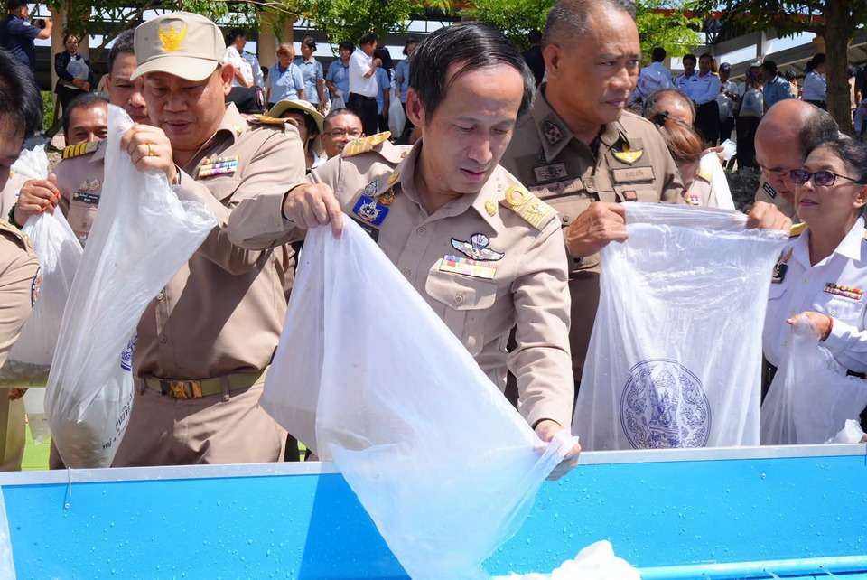 ผู้ว่าฯ ตรังนำปล่อยพันธุ์สัตว์น้ำกว่า 2 แสนตัว ฟื้นฟูแหล่งน้ำถวายเป็นพระราชกุศล