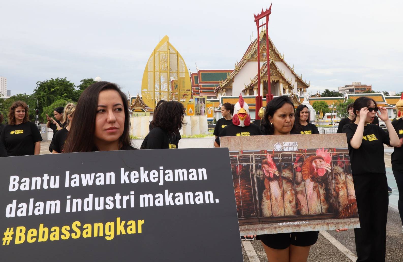 องค์กรพิทักษ์สัตว์นานาชาติ ระดมนักกิจกรรมกว่า 44 ชีวิต 6 ประเทศ ปกป้องสวัสดิภาพสัตว์ในฟาร์มอุตสาหกรรม