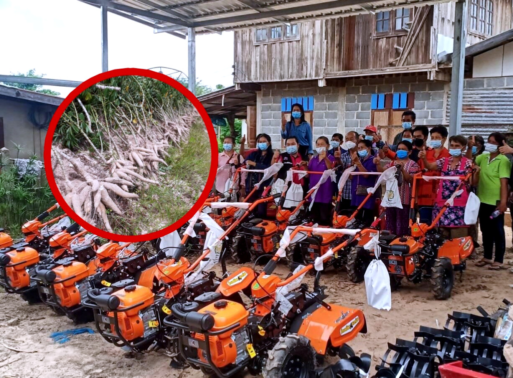 แปลงใหญ่มันสำปะหลังอ.โพนทอง ยกระดับแปลงฯด้วยเกษตรสมัยใหม่  ชู "ตลาดนำการผลิต" พัฒนาชีวิตที่ยั่งยืน
