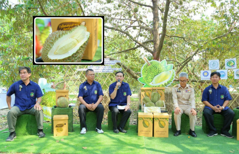 เกษตรฯ เตรียมจัดงาน "Durian to Go" พัฒนาทุเรียนไทย ก้าวไกลสู่สากล