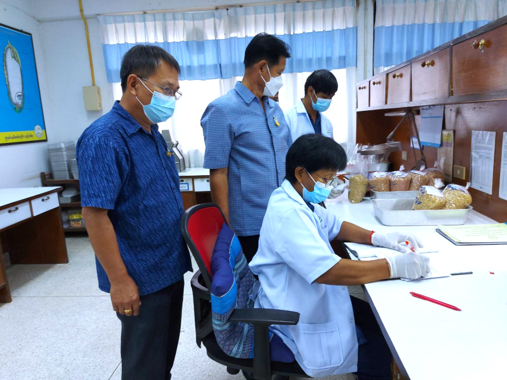 ศมข.สุโขทัย ลุยภารกิจพัฒนาปลูกข้าว สู่เมล็ดพันธุ์คุณภาพตามมาตรฐาน